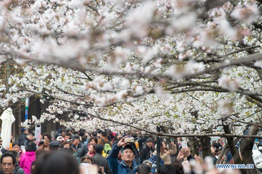 CHINA-NANJING-SPRING VIEWS (CN)