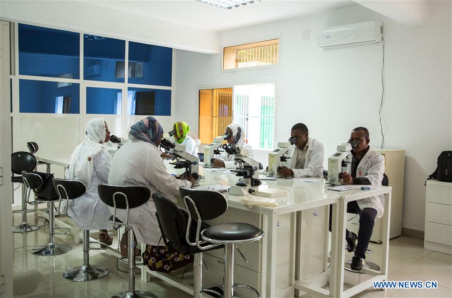 Xinhua Headlines: Hunting down malaria in Comoros -- another China-Africa story