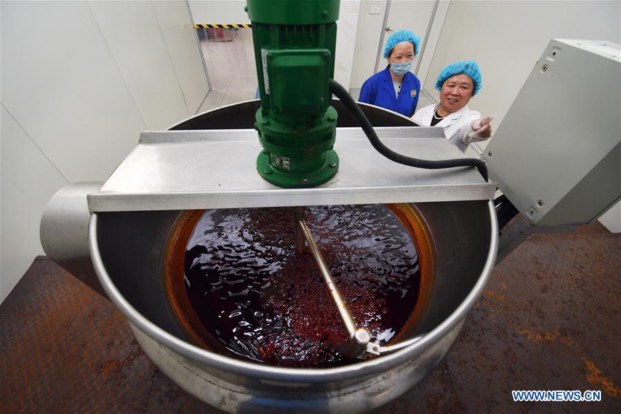 CHINA-JIANGXI-FENGXIN-RURAL ENTREPRENEURSHIP STORY