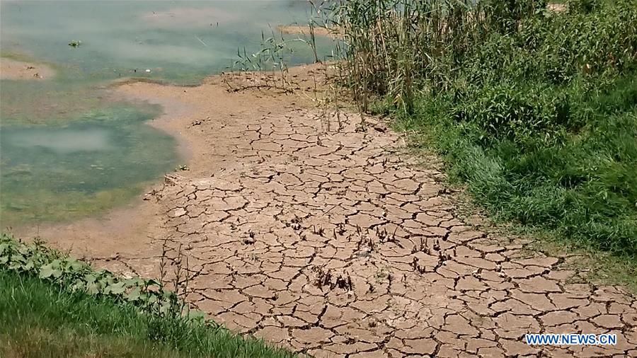 IRAQ-MOSUL-TIGRIS RIVER-LOW FLOW