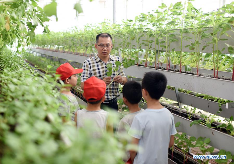 CHINA-HEBEI-HENGSHUI-CHILDREN-MODERN AGRICULTURAL GARDEN (CN)