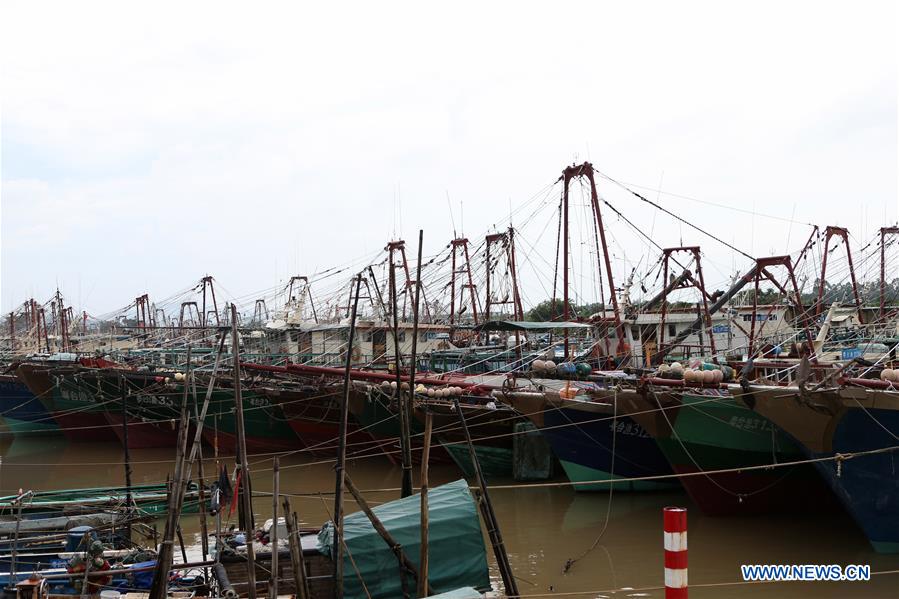 CHINA-GUANGDONG-TYPHOON-BEBINCA (CN)