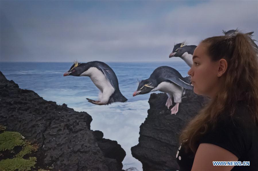 HUNGARY-BUDAPEST-WORLD PRESS PHOTO EXHIBITION