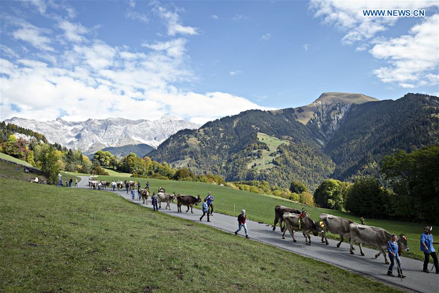 SWITZERLAND-SEEWIS-DESALPE-FESTIVAL