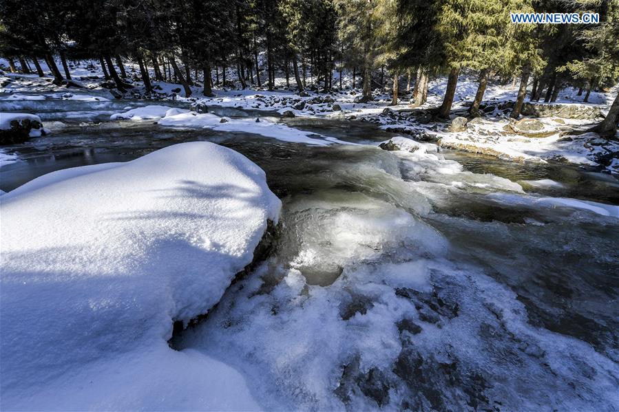 CHINA-XINJIANG-URUMQI-SNOWFALL (CN)