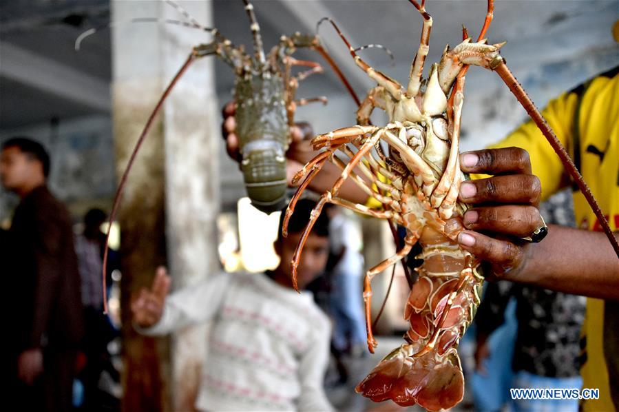BANGLADESH-COX'S-BAZAR-FISH-LANDING STATION