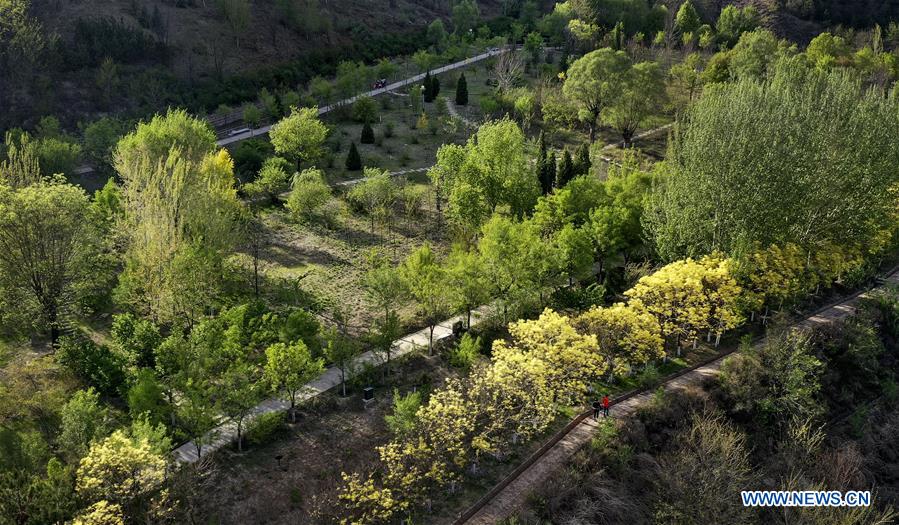 CHINA-SHAANXI-YAN'AN-FOREST (CN)