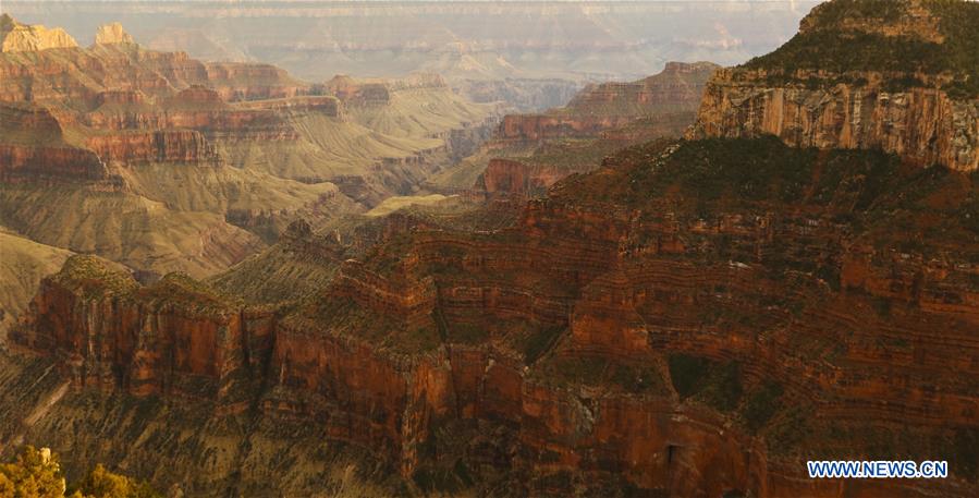 U.S.-LOS ANGELES-GRAND CANYON-SCENERY