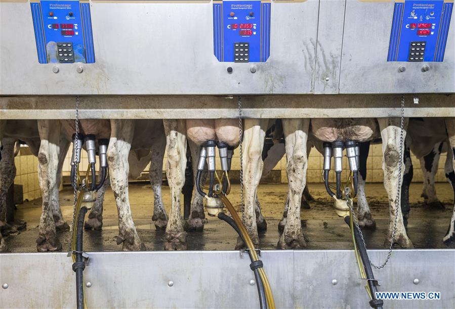 XINHUA PHOTOS OF THE DAY