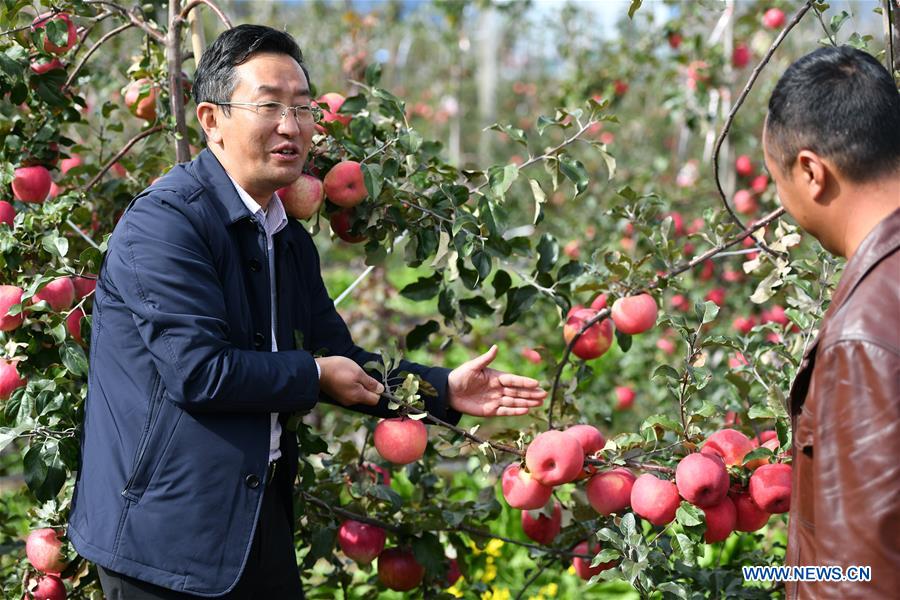 (InTibet) CHINA-TIBET-NYINGCHI-APPLE CULTIVATION PROFESSOR (CN)