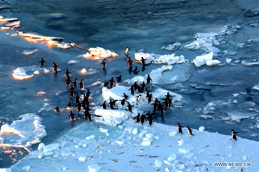 ANTARCTICA-PRYDZ BAY-XUELONG-EXPEDITION