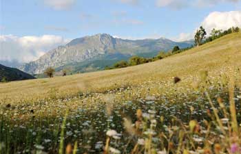 In pics:Picos de Europa National Park in Spain