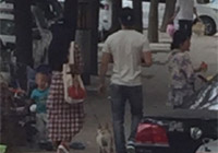 組圖：天天秀恩愛(ài)！范冰冰李晨甜蜜遛狗引圍觀