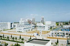 巨化集團(tuán):老國企煥發(fā)新生機(jī)