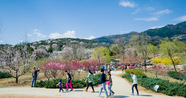 美到無法呼吸！&ldquo;西山晴雪&rdquo;攝影大賽來了
