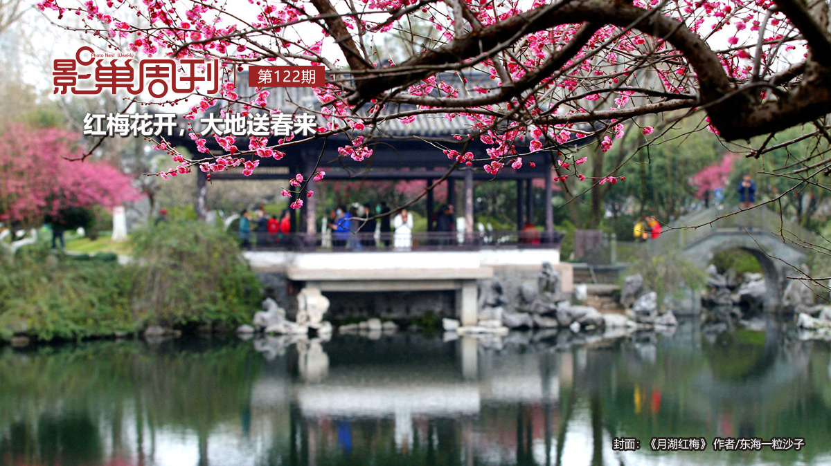 【影巢周刊】紅梅花開，大地送春來