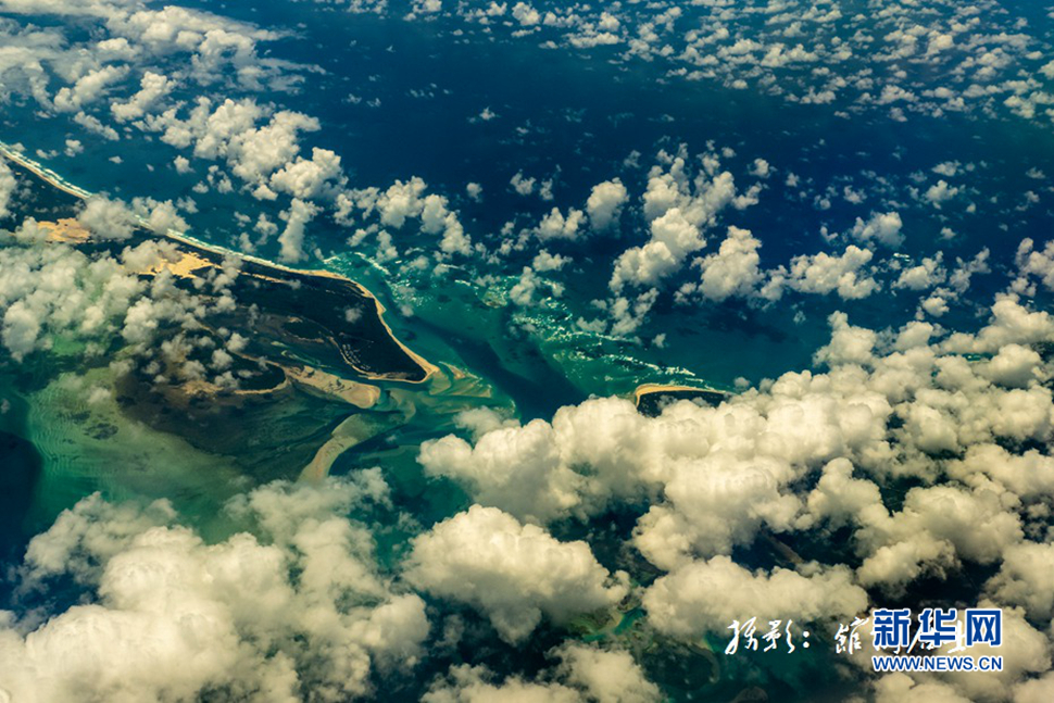 飛躍太平洋，跨越秋與春