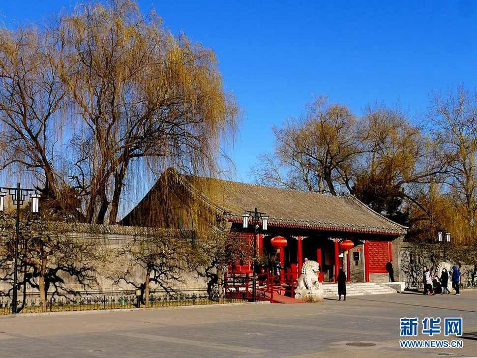 冬至，漫步大觀園