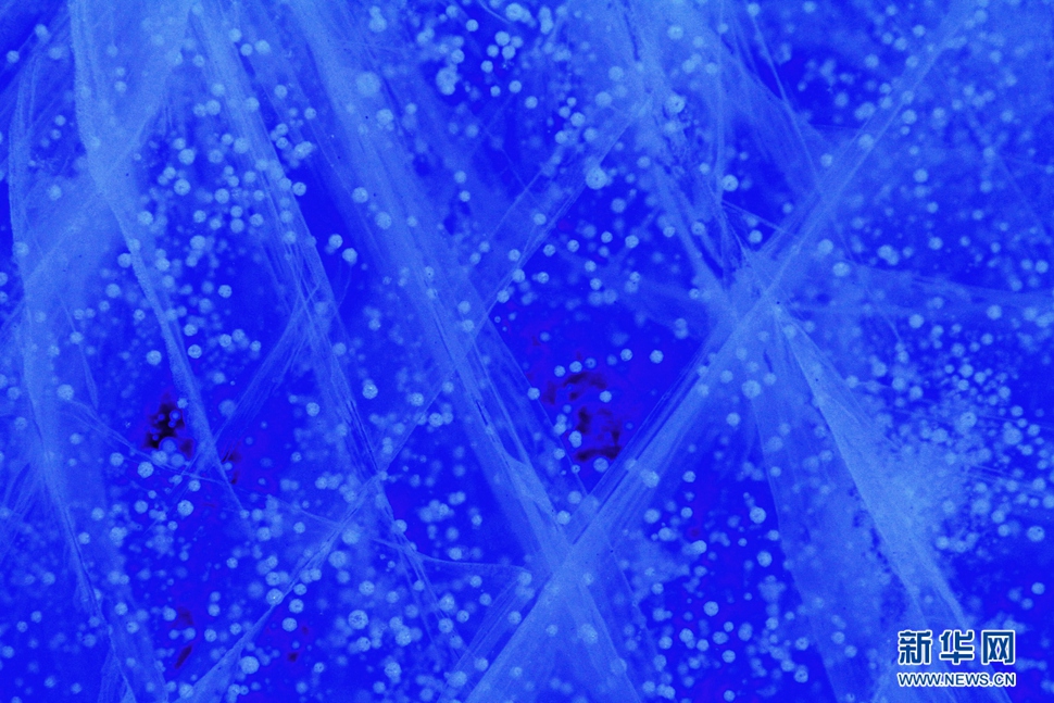 氣泡冰亮晶晶，藍(lán)精靈賽繁星