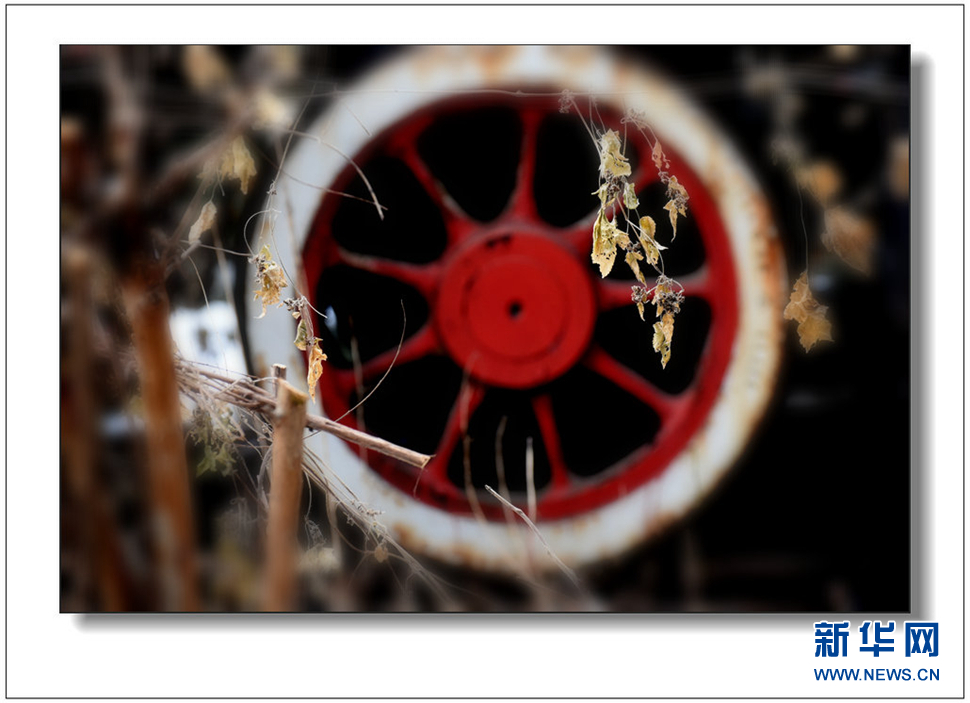 《遺世流年抹滄桑》