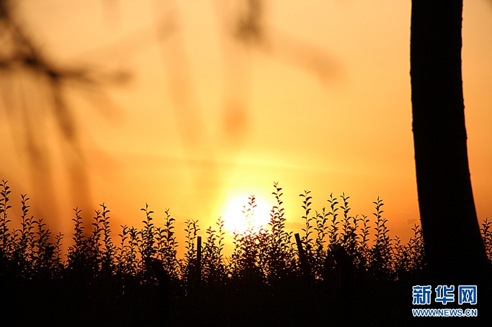 日落西山頭，人約黃昏后