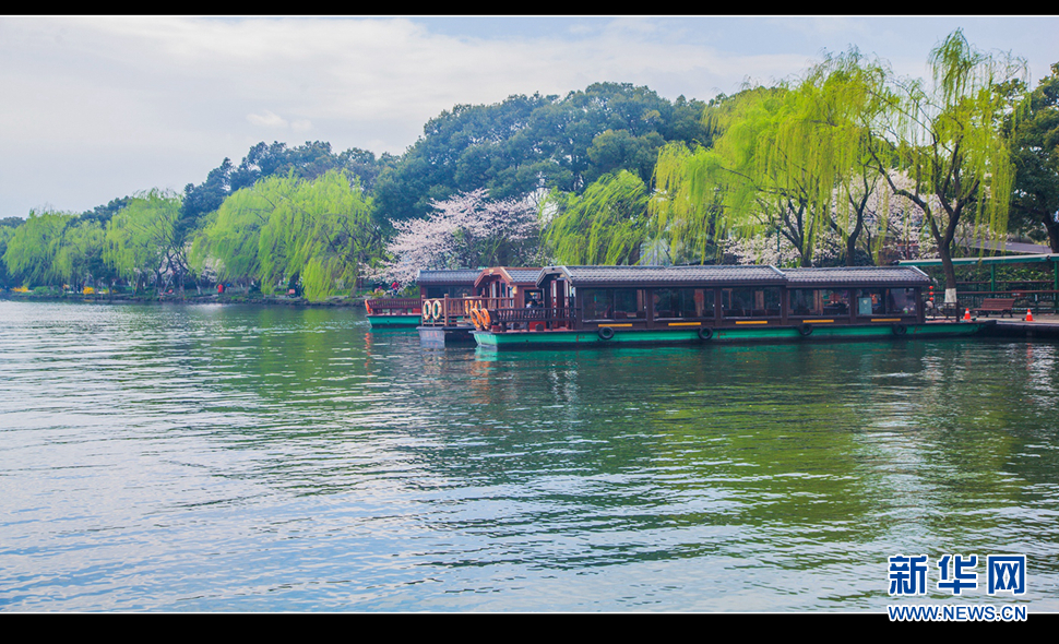 聽風西湖柳，聞香龍井茶