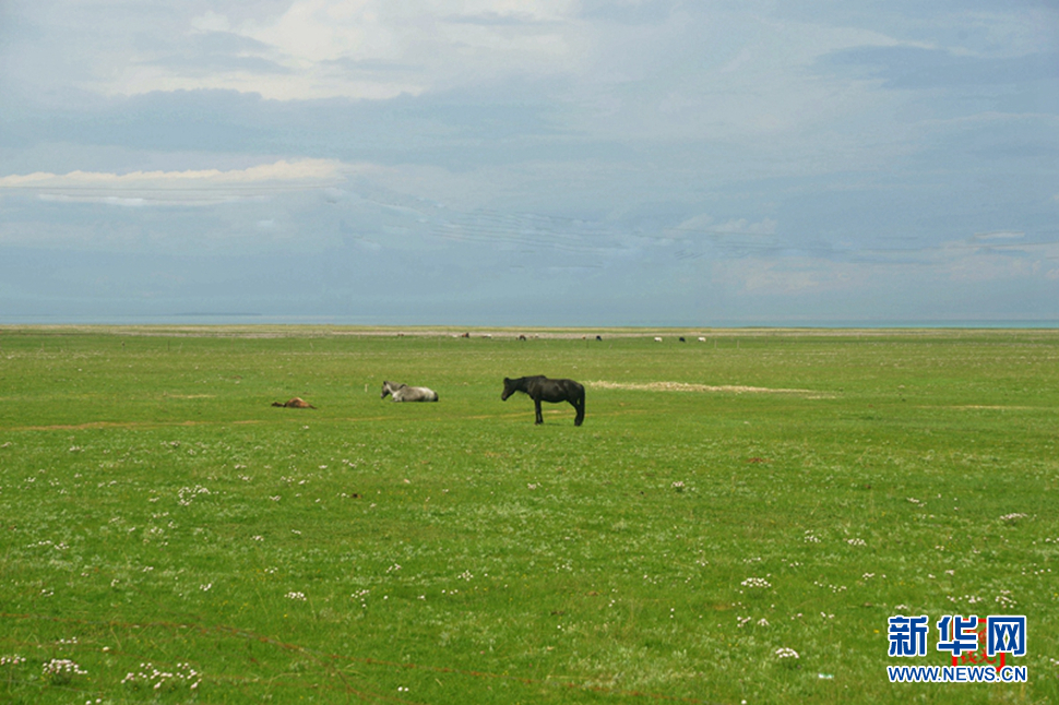 高原放歌之那山、那寺、那朵云