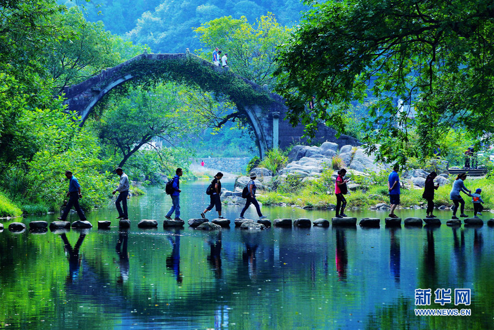 美呆了，中村