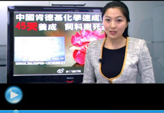 權威聲音：&ldquo;快時代&rdquo;究竟還有什么可以速成？