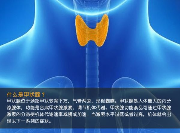關(guān)注甲狀腺健康,你應(yīng)該知道的那些事