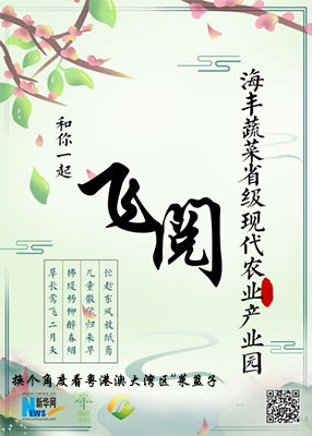 飛閱海豐蔬菜現(xiàn)代農業(yè)產業(yè)園