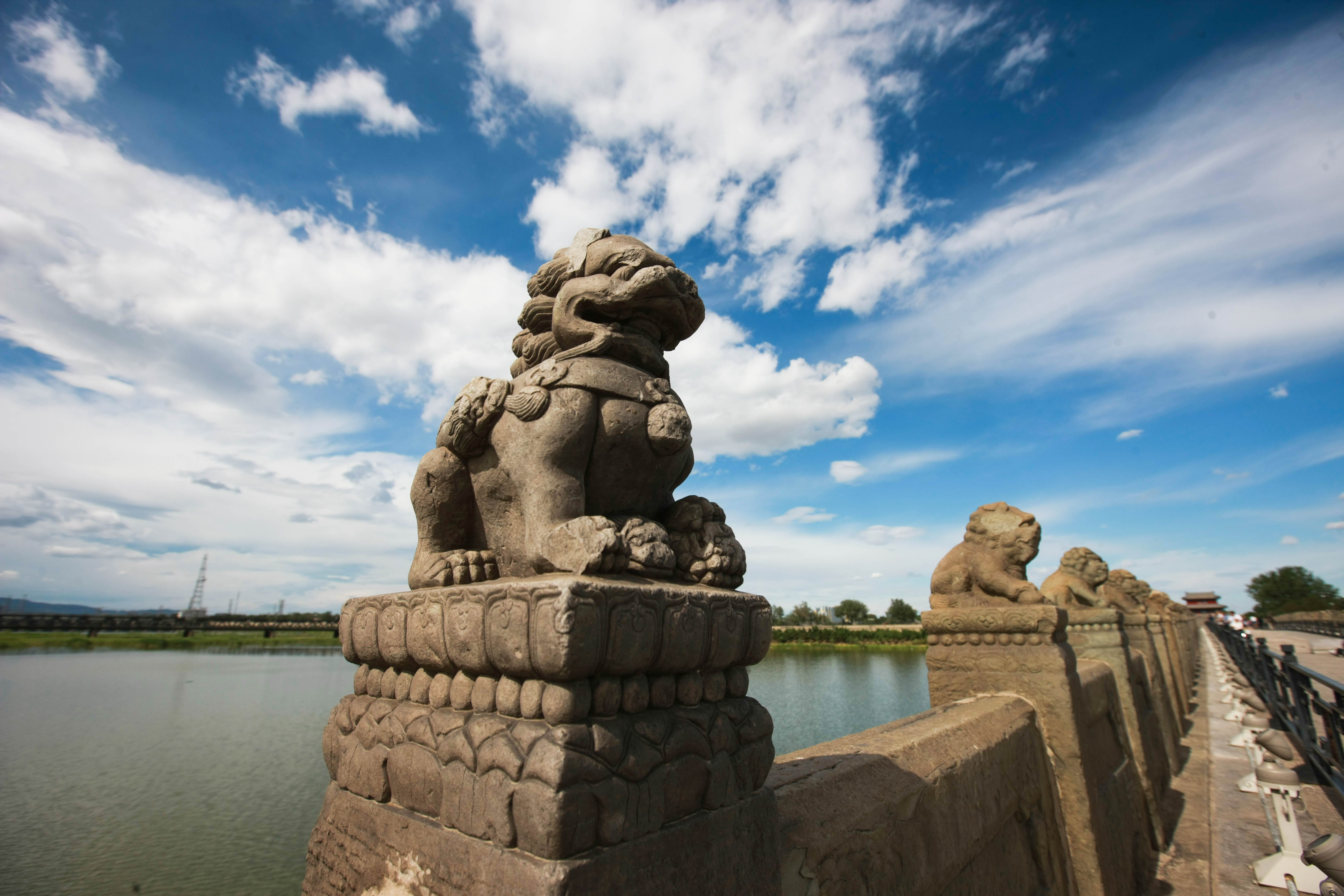 這些照片，來之不易