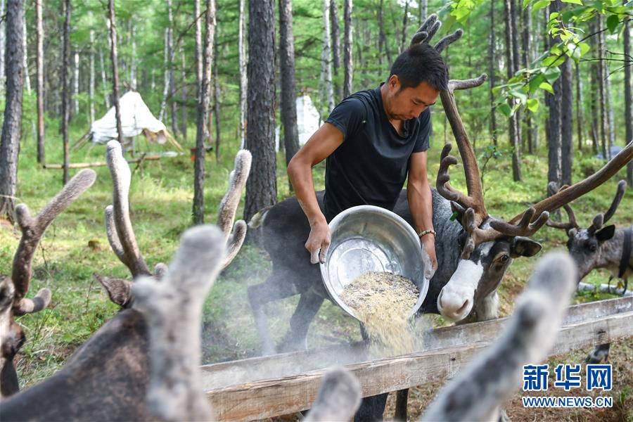 【聚焦脫貧攻堅(jiān)】這組數(shù)字，來之不易