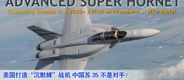 美國打造&ldquo;沉默蜂&rdquo;戰(zhàn)機 中國蘇35不是對手？