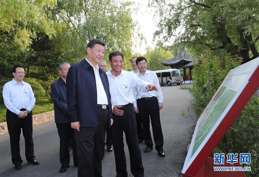 (XHDW)(1)習(xí)近平在山東考察