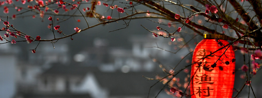 春來(lái)花開，綻放正當(dāng)時(shí)