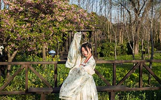 徜徉櫻花花海，來(lái)場(chǎng)動(dòng)漫之旅