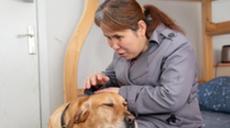 &ldquo;有你在身旁，真好&rdquo;