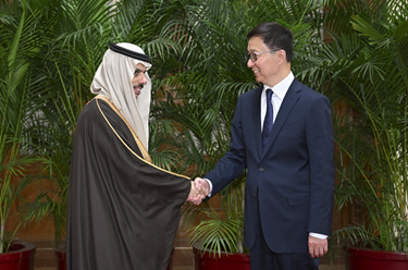 韓正集體會(huì)見阿拉伯、伊斯蘭國家外長(zhǎng)聯(lián)合代表團(tuán)