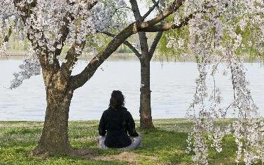 一周看點：奧巴馬敦促朝停止&ldquo;好戰(zhàn)做法&rdquo; H7N9病人轉(zhuǎn)為陰性