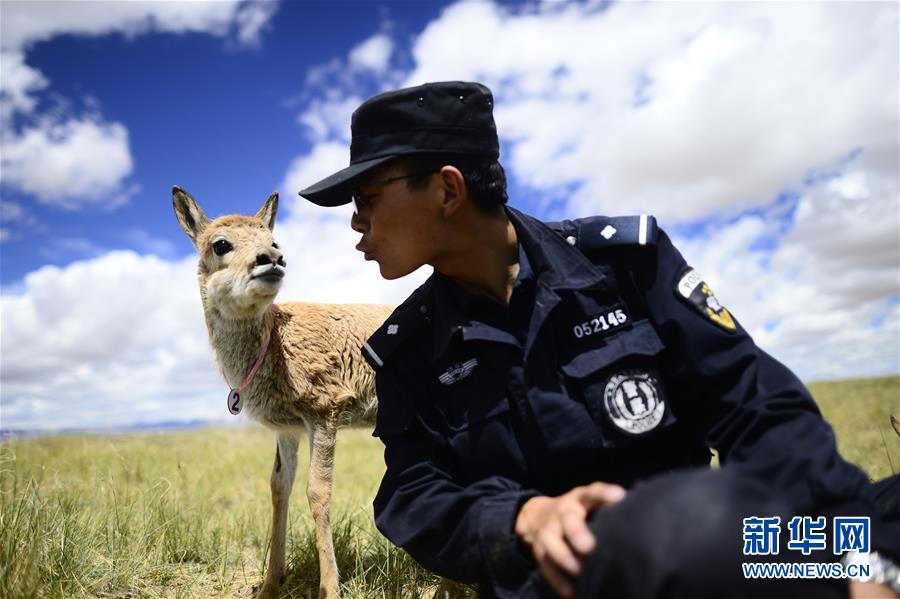 （十九大&middot;讀報(bào)告 話民生）（8）加快生態(tài)文明體制改革，建設(shè)美麗中國(guó)
