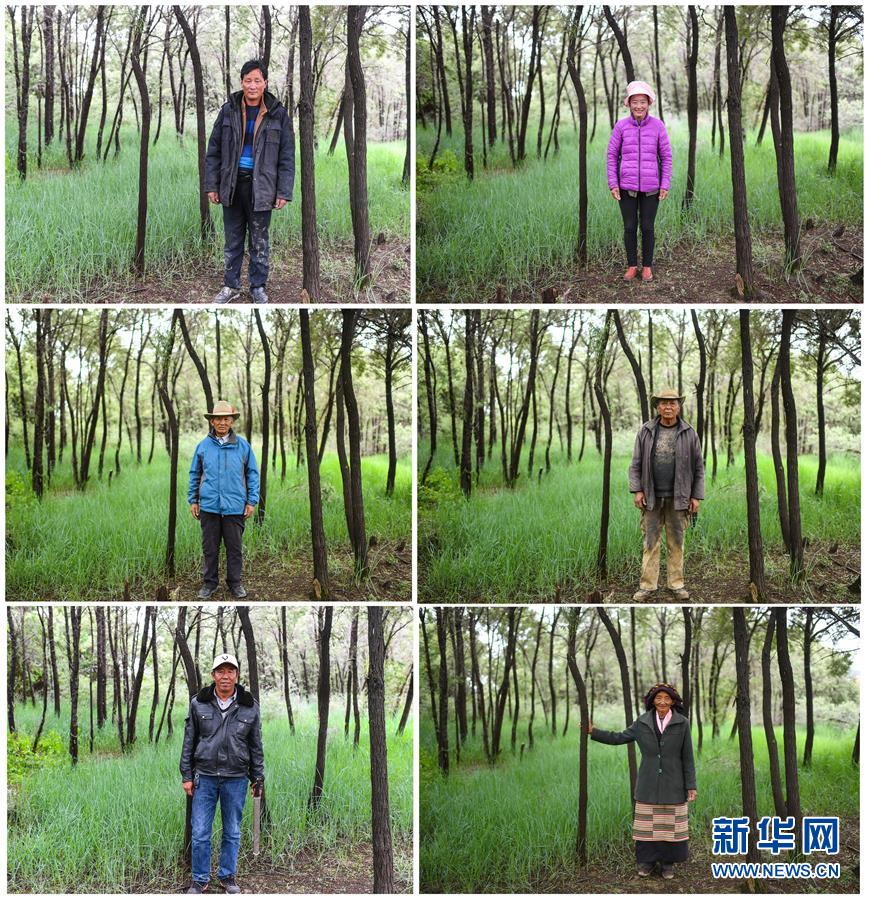 （十九大&middot;讀報(bào)告 話民生）（9）加快生態(tài)文明體制改革，建設(shè)美麗中國