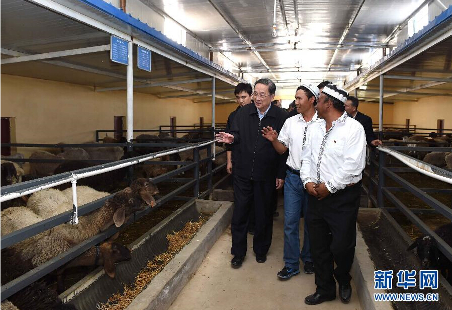 9月27日，中共中央政治局常委、全國(guó)政協(xié)主席、中央代表團(tuán)團(tuán)長(zhǎng)俞正聲率中央代表團(tuán)部分成員赴喀什地區(qū)莎車縣看望各族干部群眾。這是俞正聲在新疆生產(chǎn)建設(shè)兵團(tuán)第三師莎車農(nóng)場(chǎng)實(shí)地察看萬(wàn)只羊養(yǎng)殖基地。新華社記者 饒愛民 攝