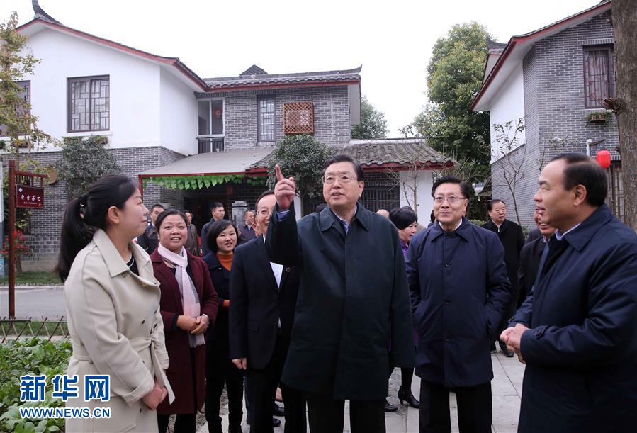 這是11月22日，張德江來到成都郫縣青杠樹村，了解村民委員會(huì)工作情況。 新華社記者 劉衛(wèi)兵 攝 