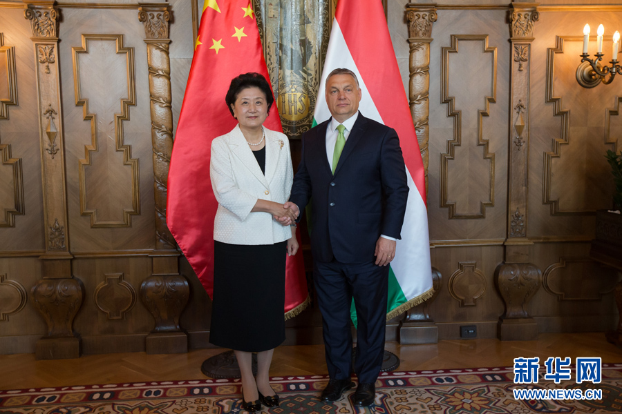  6月21日，國務(wù)院副總理劉延?xùn)|（左）在匈牙利布達(dá)佩斯國會大廈會見匈牙利總理歐爾班。 新華社發(fā)（弗爾季&middot;奧蒂洛攝）