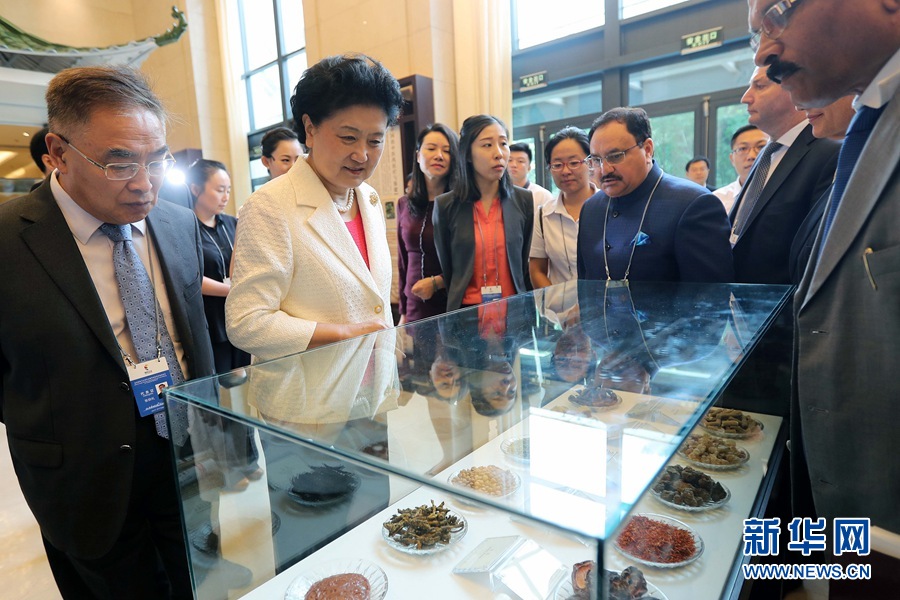 7月6日，金磚國家衛(wèi)生部長會暨傳統(tǒng)醫(yī)藥高級別會議在天津開幕。這是國務院副總理劉延東與外賓一起參觀傳統(tǒng)醫(yī)藥文化展。 新華社記者 張玉薇 攝