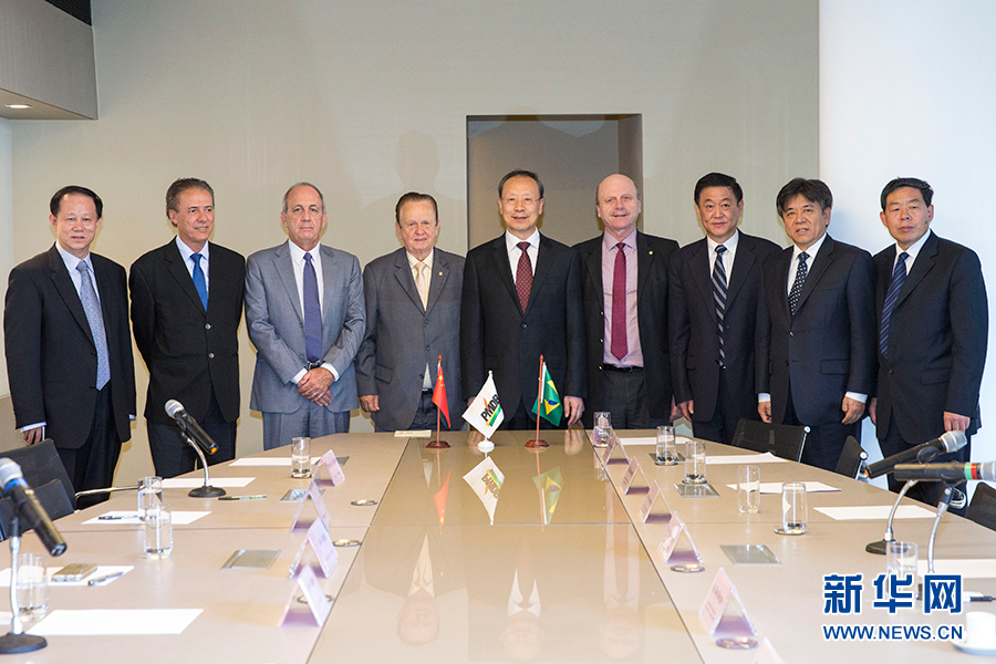 7月11日，在巴西首都巴西利亞，中共中央書記處書記、全國政協(xié)副主席杜青林（中）會見巴西民主運動黨總書記毛羅&middot;洛佩斯（左四）。新華社記者李明攝