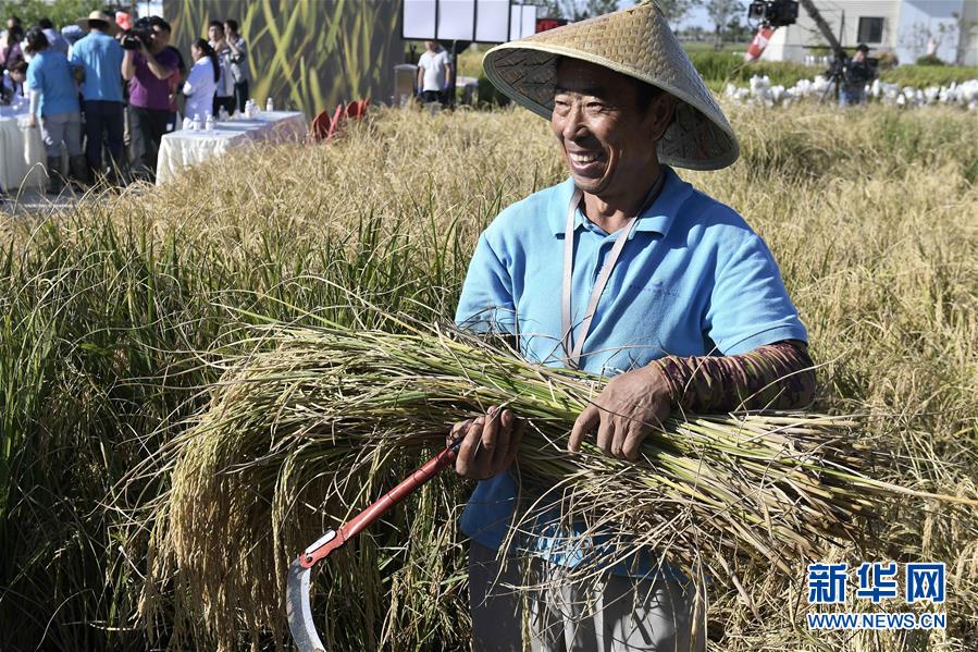 （新華全媒頭條&middot;圖文互動）（2）歷史性飛躍的偉大實踐&mdash;&mdash;中國共產黨引領中國特色社會主義開辟發(fā)展新境界述評