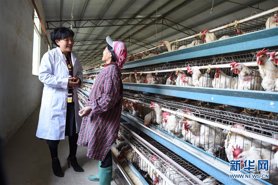 (十九大代表回基層·圖文互動(dòng))(1)擺脫貧困后,還應(yīng)有更高的精神追求——十九大代表余留芬的“宣講時(shí)光”