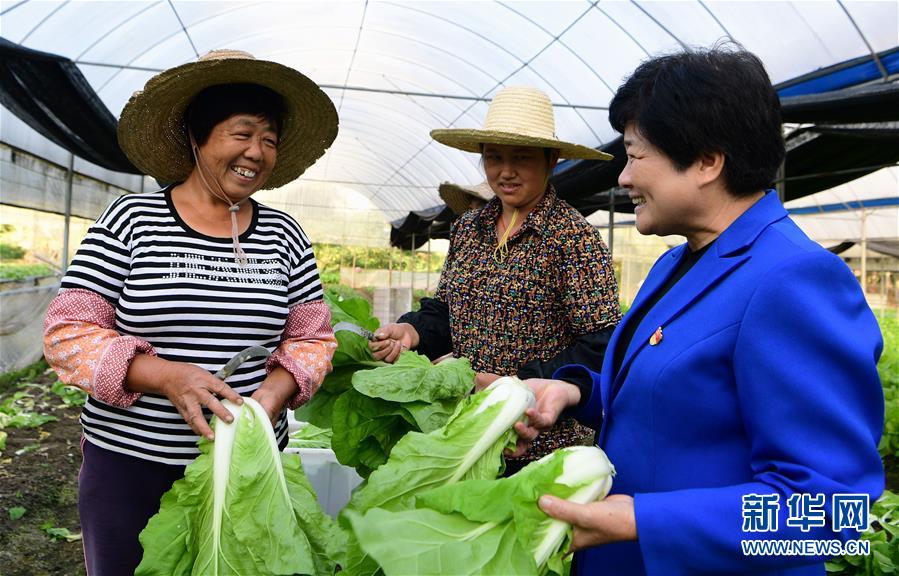 (十九大代表在基層·圖文互動(dòng))(3)沈騰香:保護(hù)好綠水青山 圓鄉(xiāng)親們小康夢(mèng)